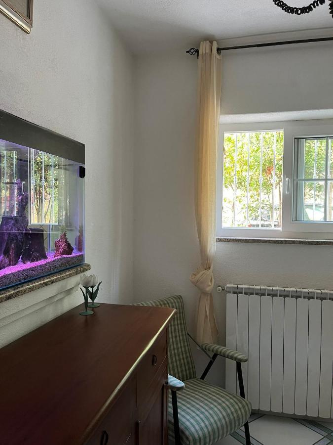 Casa Impagliazzo Panzió Forio di Ischia Kültér fotó